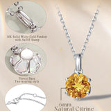 Collar con colgante de piedra de nacimiento citrino de noviembre en oro blanco macizo de 14K y cadena de plata de ley FANCIME "Flor Eterna"