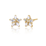 Pendientes de botón FANCIME "Ms Vega" Estrella Centelleante Alfa Lyrae de plata esterlina