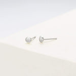 FANCIME Tiny Dot 14K Solid White Gold Studs Earrings Show